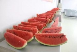 中心广场吃瓜,热闹非凡的吃瓜现场，见证人间百态