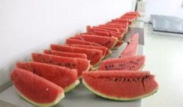 中心广场吃瓜,热闹非凡的吃瓜现场，见证人间百态