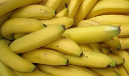 长瓜和香蕉能一起吃吗,长瓜与香蕉同食的兼容性探讨