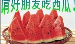 吃瓜发言技巧,掌握高情商发言技巧