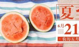 盛世芳华吃瓜号,揭秘娱乐圈背后的吃瓜故事