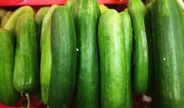 小瓜怎么吃营养,轻松解锁健康美味新吃法