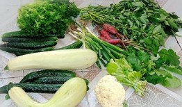 双瓜菜怎么吃,探索夏日清新美食之旅