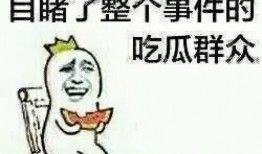 内娱吃瓜群众瓜哥是谁啊,内娱吃瓜群众的神秘代表
