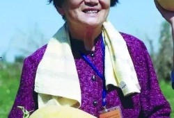 韩国婆婆实现吃瓜自由,揭秘韩国家庭餐桌上的独特风味