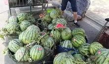 安徽师范吃瓜事件,校园舆论风波背后的真相探究