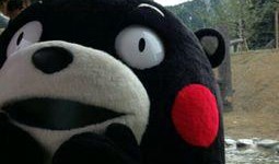 吃瓜群众 咦 我的瓜呢,我的瓜呢？揭秘瓜界奇闻轶事