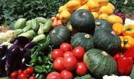 双瓜菜怎么吃,探索夏日清新美食之旅