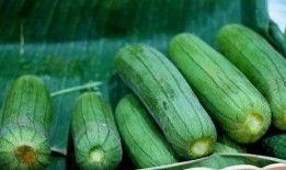 不想吃瓜被迫吃瓜,无奈中的幽默生活点滴