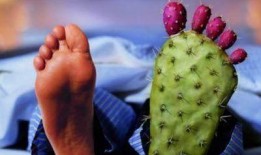 痛风吃角瓜吗,角瓜的食疗益处