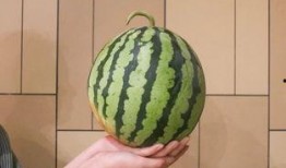 吃瓜鬼,揭秘吃瓜鬼背后的娱乐真相