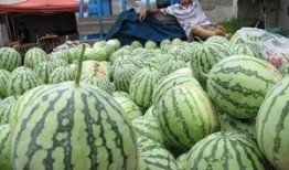 极速吃瓜后续,揭秘娱乐圈背后的真相与风波