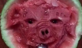 吃瓜呀好吃瓜好吃瓜舞蹈,舞蹈热潮背后的文化现象解析