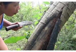 qg老林事件吃瓜,一场电竞圈的“瓜”界风云