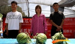 吃瓜视频高清图,吃瓜视频背后的精彩瞬间