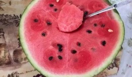 喜子瓜可以吃吗