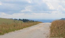 梦见西瓜地里吃瓜,西瓜地里的甜蜜诱惑