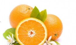 吃瓜的傻橙,吃瓜群众傻橙的趣味生活点滴