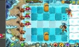 7 2吃瓜视频,揭秘娱乐圈幕后故事