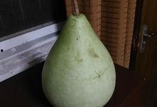 盐城烧瓜怎么吃,传统美食的独特风味与多样吃法