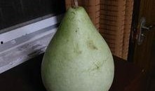 盐城烧瓜怎么吃,传统美食的独特风味与多样吃法