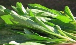 马兰山吃瓜青年,吃瓜青年畅谈人生百态