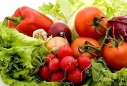 天津职高吃瓜,揭秘校园里的网络热议风波