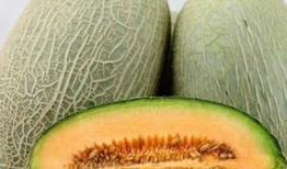 吃哈密瓜用处,夏日消暑、美容养生的天然佳品
