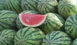 高血糖吃秋瓜,高血糖人群的甜蜜守护