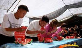 吃瓜视频高清图,吃瓜视频背后的精彩瞬间