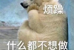 吃瓜群众图片狗,吃瓜群众视角下的狗狗萌态大盘点