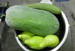 吃瓜今日吃瓜热门大瓜