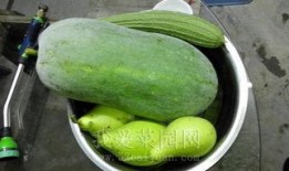 吃瓜今日吃瓜热门大瓜