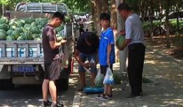 任县吃瓜群众视频曝光,揭秘当地热点事件背后的真相