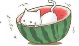 深情遇吃瓜,吃瓜群众见证的爱情传奇