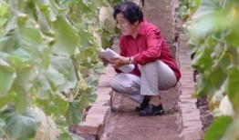 韩国婆婆实现吃瓜自由,揭秘韩国家庭餐桌上的独特风味