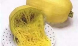 天鹅瓜可以吃吗,美味还是禁忌？探究这种神秘瓜果的食用之谜