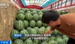 荷香悠悠吃瓜视频