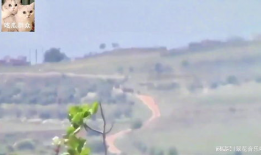 作别春色吃瓜群,一场别开生面的春日盛宴