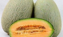 吃哈密瓜用处,夏日消暑、美容养生的天然佳品