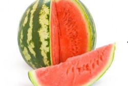 立秋吃瓜视频全集,跟随视频全集探寻传统美食文化