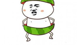 吃瓜表情蝴蝶忍,揭秘网络红人的魅力与影响力