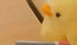 王校长吃瓜网红,一场意外的网络狂欢