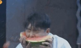 好无聊吃瓜,揭秘娱乐圈那些鲜为人知的幕后故事