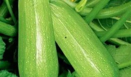 卢羽吃瓜,揭秘娱乐圈背后的那些事儿