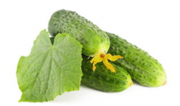 吃伟手瓜好处,揭秘吃西瓜的五大益处”