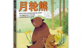 吃瓜熊的小说,揭秘娱乐圈背后的秘密与真相