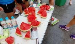 吃瓜大赛横版,一场视觉盛宴的狂欢之旅