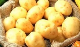 汾阳头条吃瓜视频,揭秘吃瓜视频背后的惊人真相