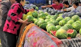 全年吃瓜状态,一年四季的瓜味人生